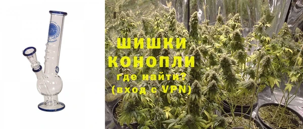 амф Осташков