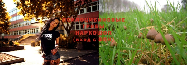 скорость Новодвинск