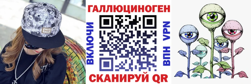 OMG ТОР  Злынка  Псилоцибиновые грибы Psilocybe 