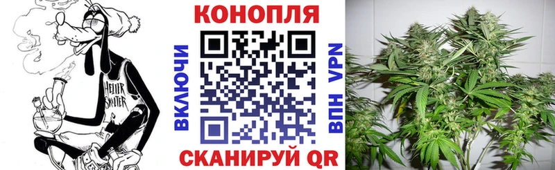 Канабис план  Злынка 